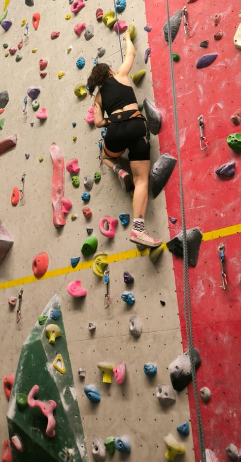 Climbing Wall Operator, TOPR Mountain Rescuer